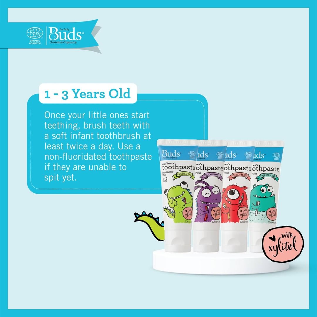 BUDS Children's Toothpaste with Xylitol 有機幼兒牙膏 (1-3歲) [50ml]