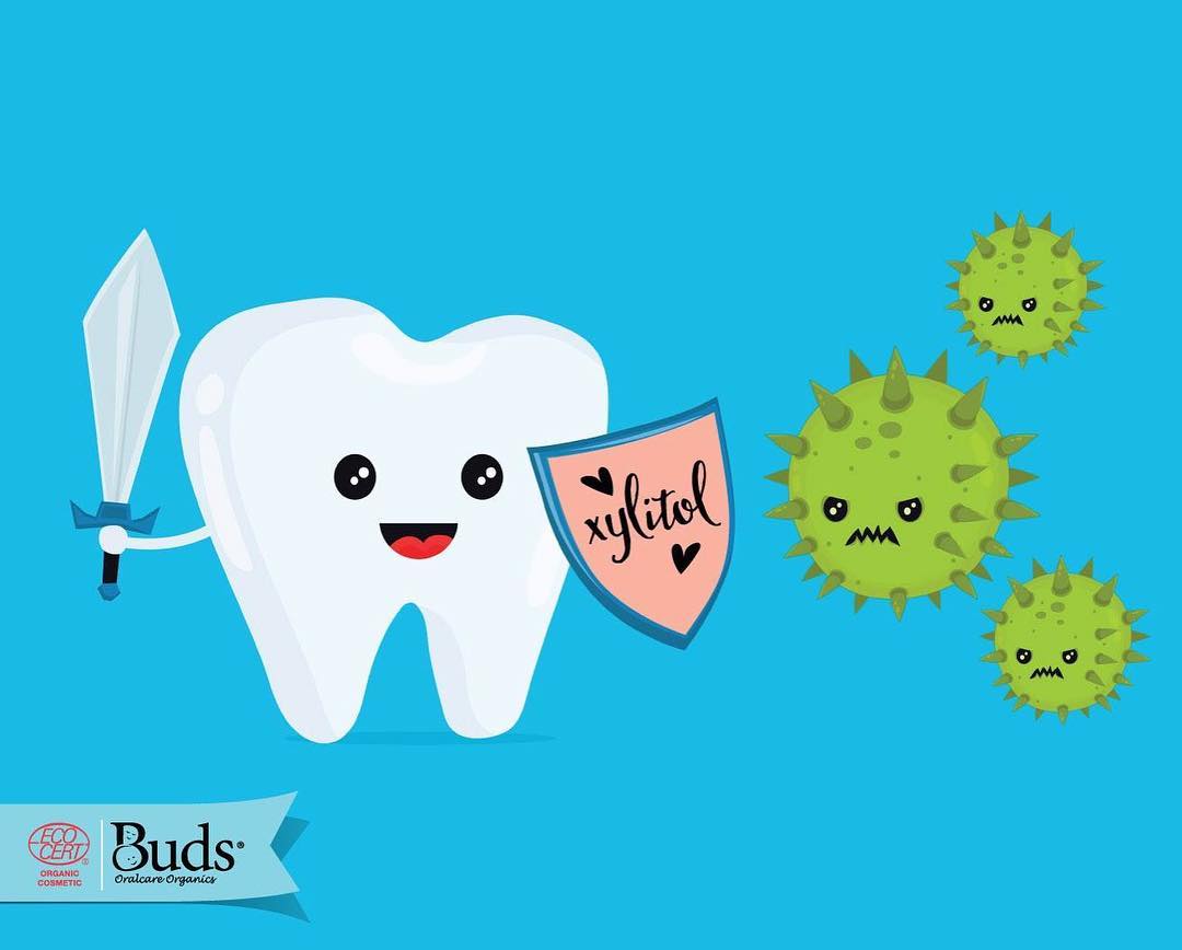 BUDS Children's Toothpaste with Xylitol 有機幼兒牙膏 (1-3歲) [50ml]