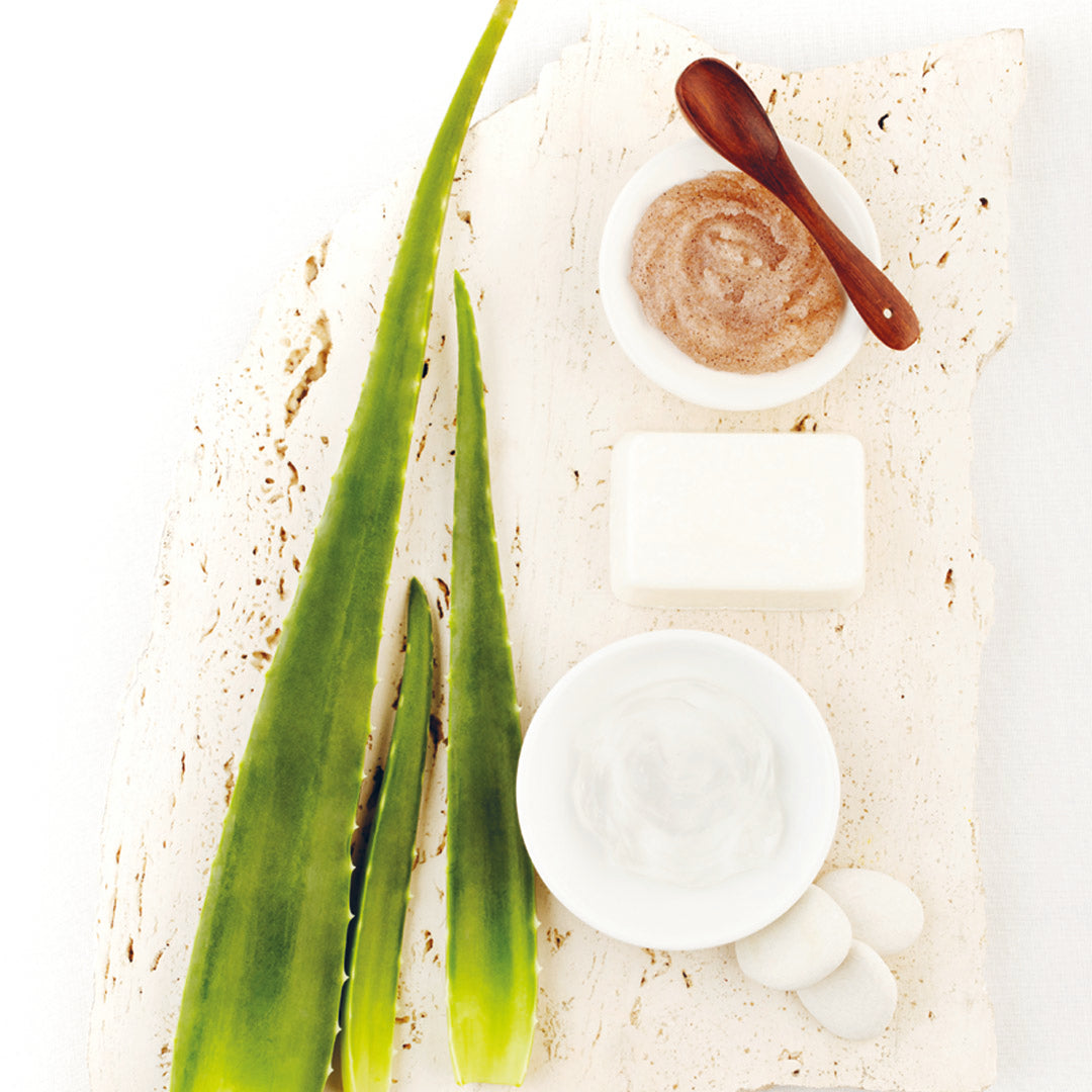 FLORAME Organic Aloe Vera Gel 有機蘆薈啫喱 [250ml]