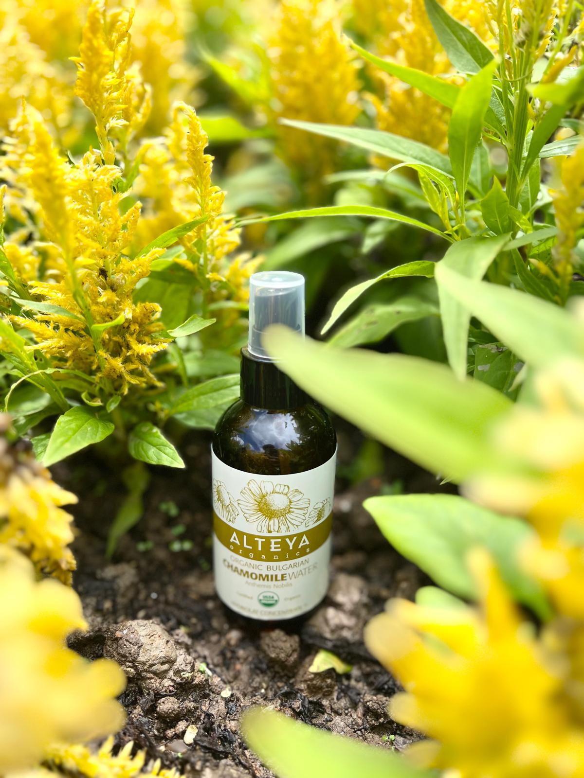 ALTEYA Organic Bulgarian Chamomile Water 有機洋甘菊花水 [120ml]