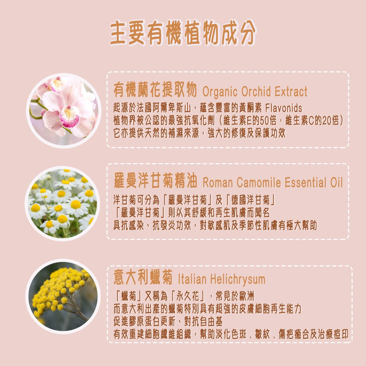 FLORAME Eyes & Lips Contour Lifting Care 有機蘭花眼唇提亮精華 [15ml]