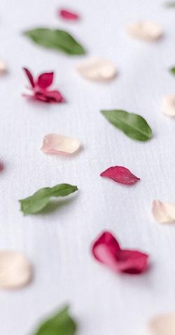 Testing Item 3 - MINT Organics