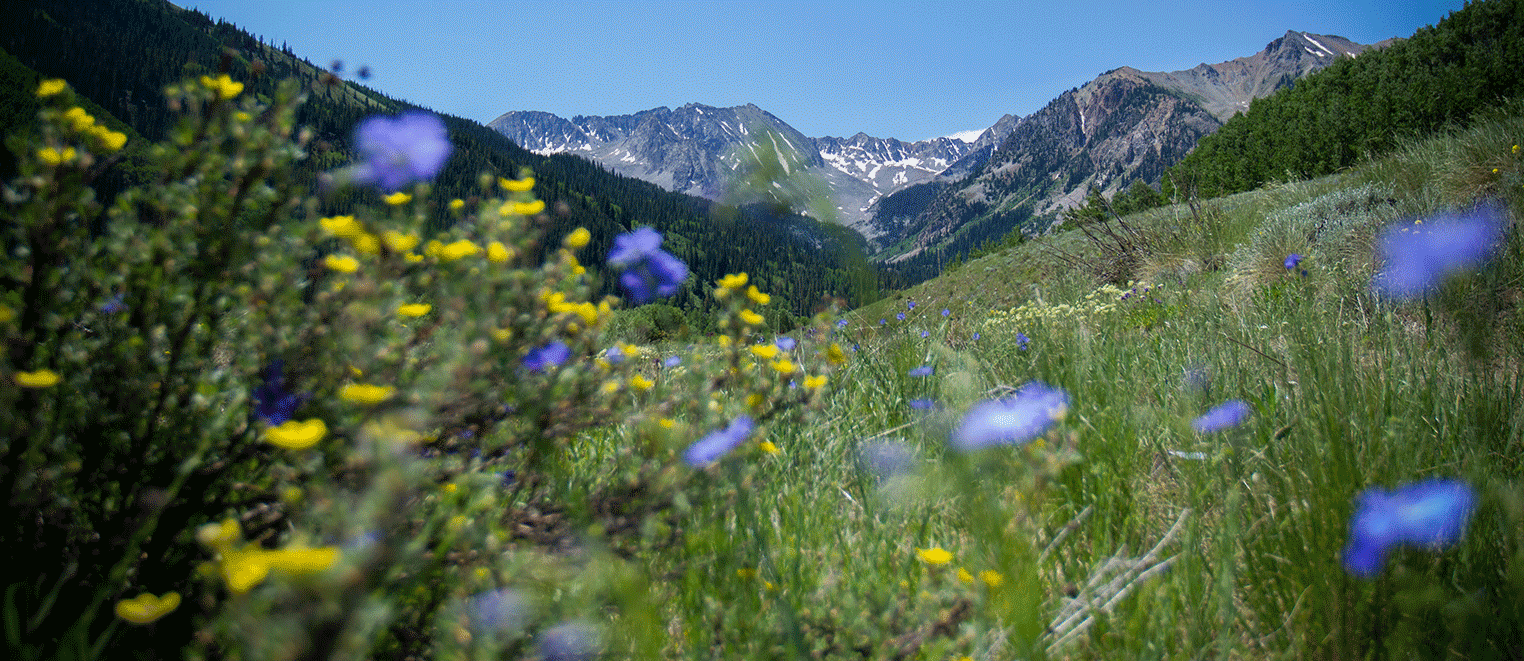 ASPEN PRIVATE EVENTS